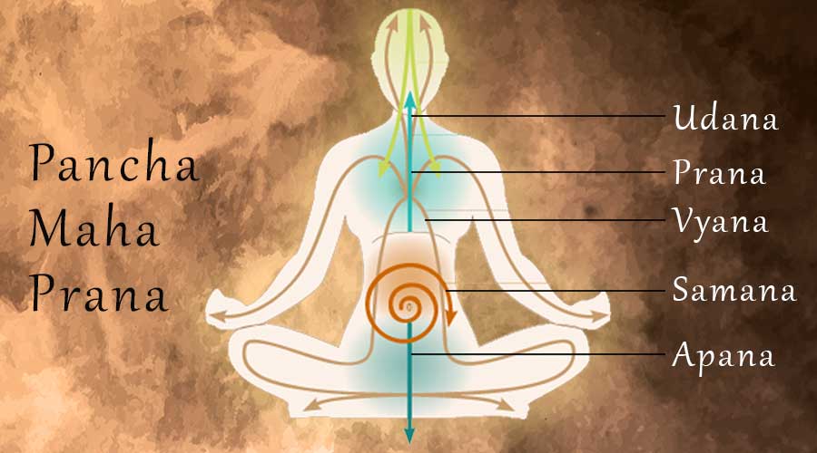 4 Best Benefits Of Prana Yoga - Vedansh