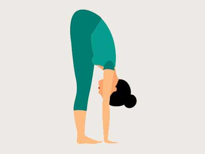 Surya Namaskar Hastapadasana (Standing forward bend)