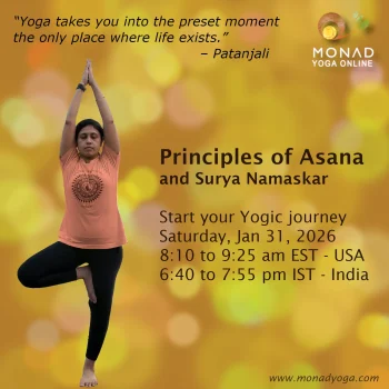2026.01 Principles of Asana